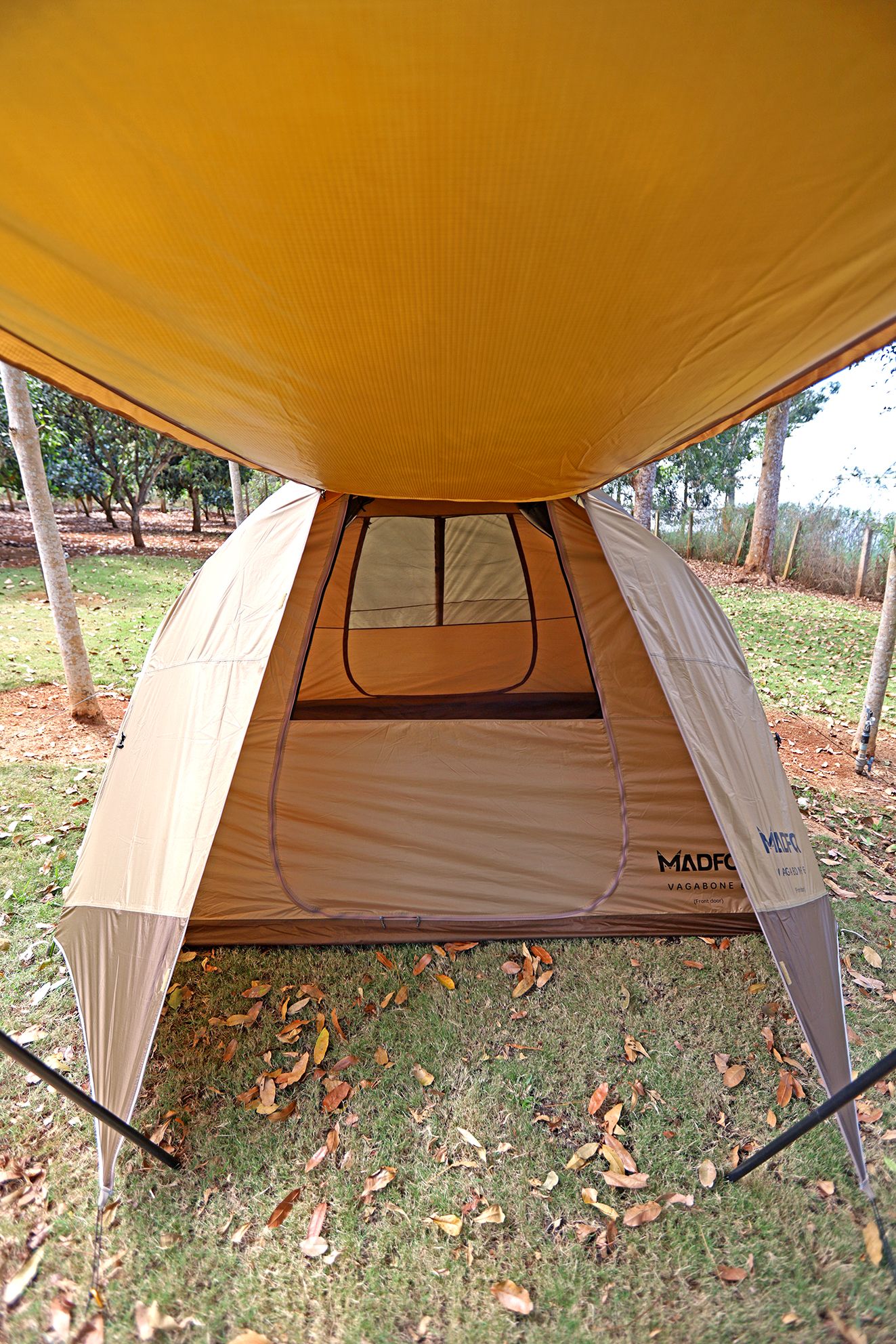  Vagabone 6 tent 