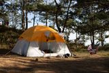  Woodsman 6 tent 