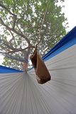  MOSNET - Mosquito net for hammock 