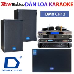 Dàn Karaoke Gia Đình DMX CH12