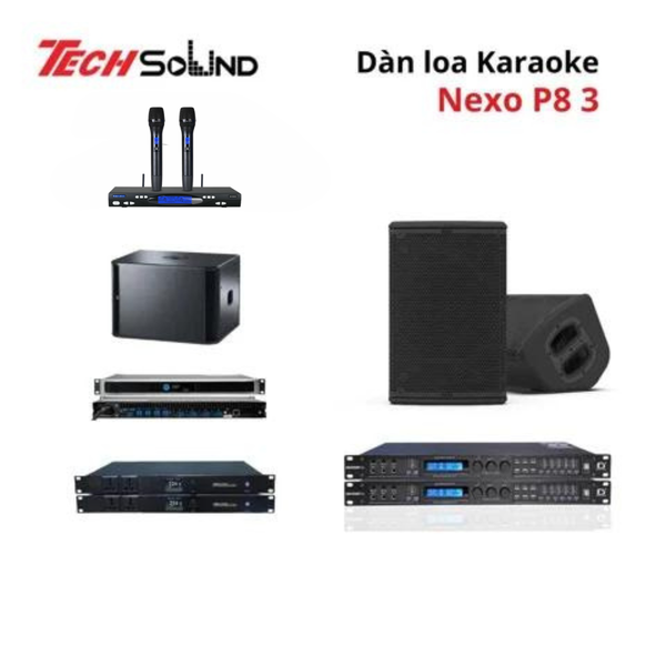 Dàn loa Karaoke NEXO P8 3