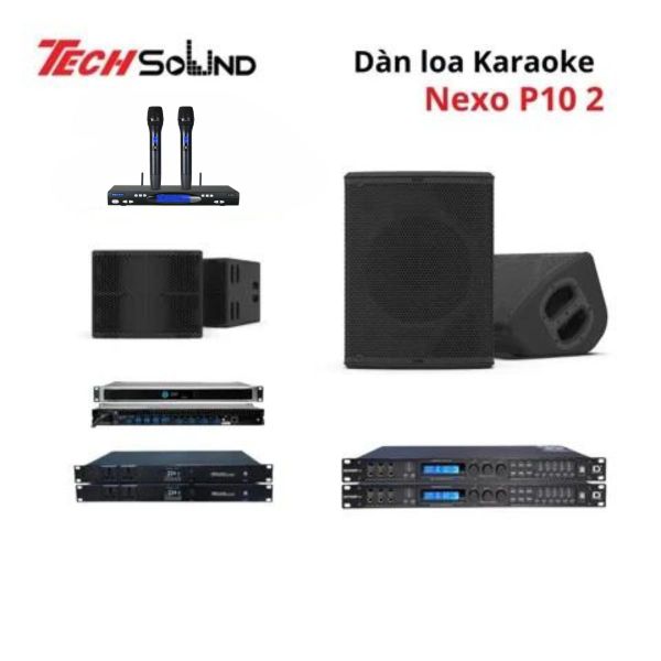 Dàn loa Karaoke NEXO P10 2