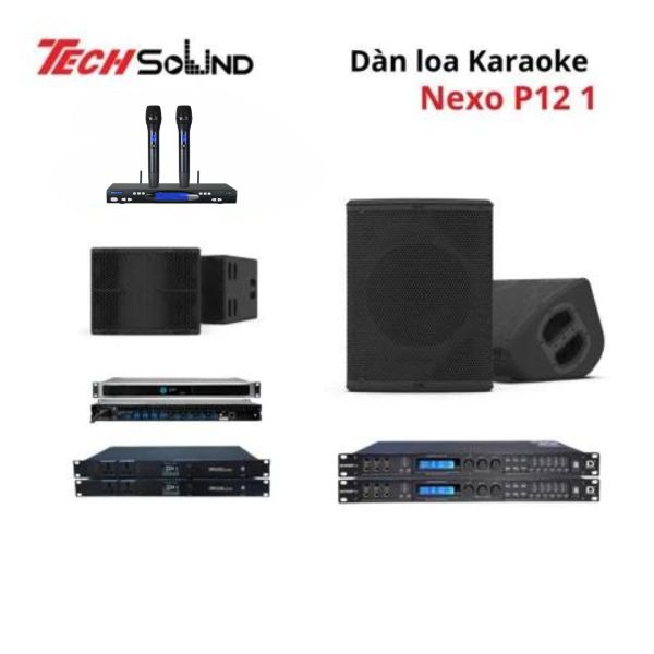 Dàn loa Karaoke NEXO P12 1