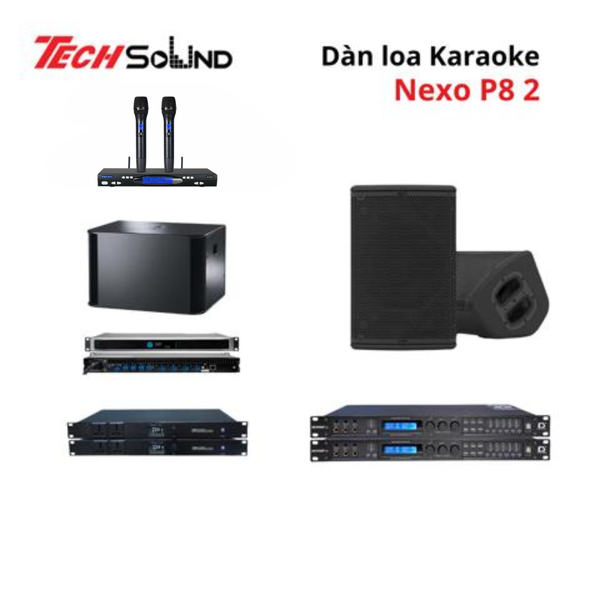 Dàn loa Karaoke NEXO P8 2