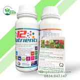  12 NUTRIENT VIỆT NÔNG - PHÁT ĐỌT, PHÂN CÀNH, ĐẬU QUẢ, NUÔI TRÁI 