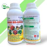  CANXI BO-AMINO Hữu cơ - Siêu đậu trái, Chống rụng, Đẹp trái 