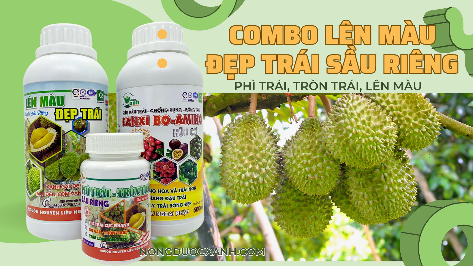  Combo Lên Màu, Phì Trái, Đẹp Trái Sầu riêng 