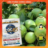  [COMBO 5] Thuốc trừ nấm bệnh COC 85 gói 20g [sieutietkiem] . Nông Dược Xanh 