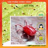  Chế phẩm sinh học đặc trị nhện hoa hồng Nilmite 550SC 10ml - Hợp Trí . Nông Dược Xanh 