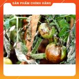  Thuốc trừ bệnh Phytocide 50WP 80g . Nông Dược Xanh 