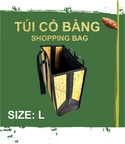 Túi shoppong bag