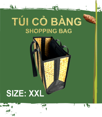 Túi shoppong bag