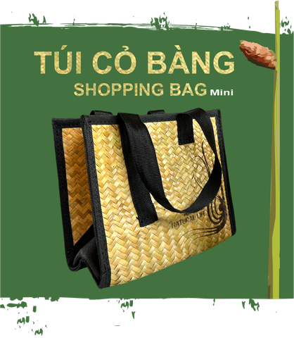 Túi shoppong bag mini