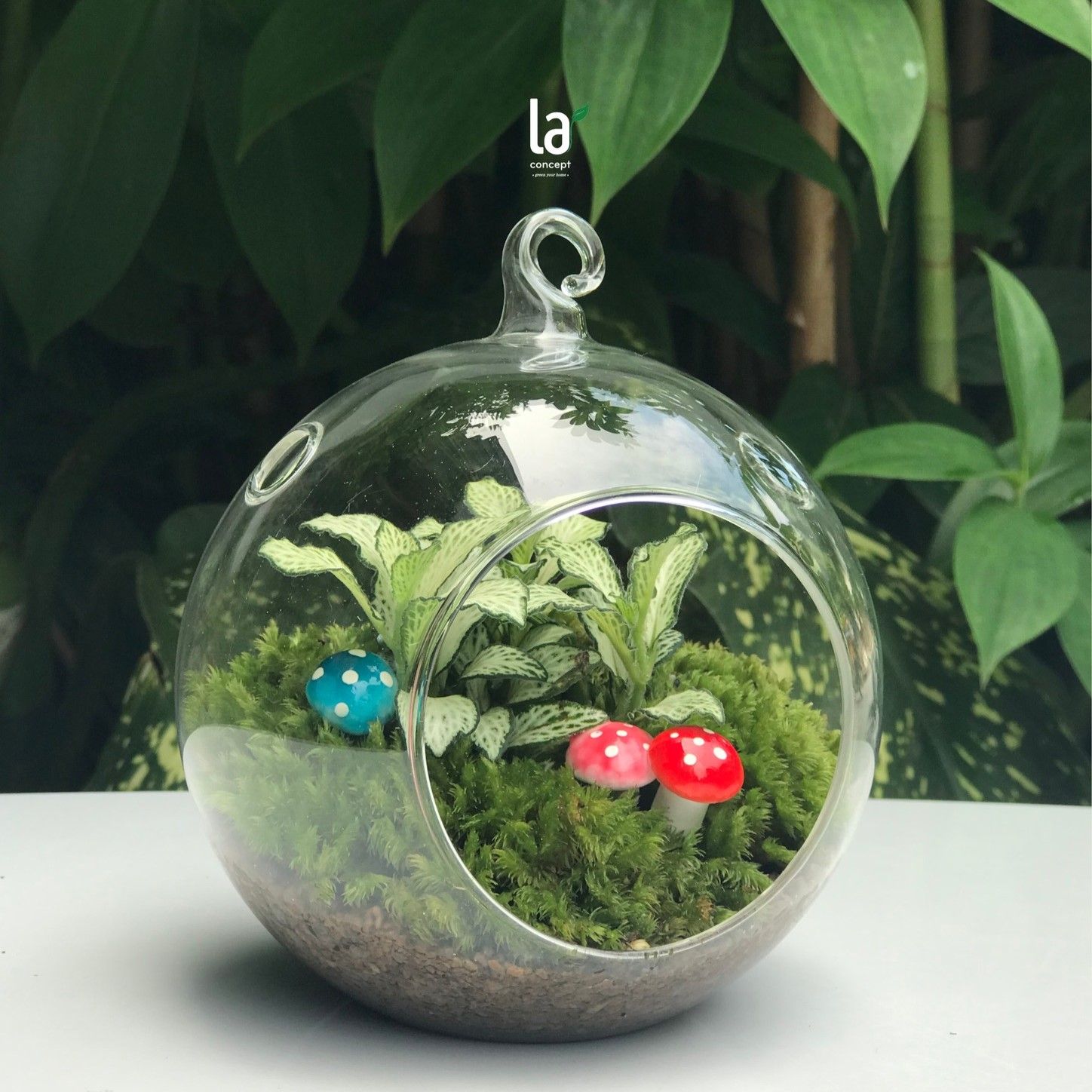 Terrarium