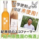  Rượu mơ Hanon Nhật 