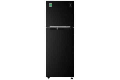 Tủ lạnh Samsung Inverter 236 lít RT22M4032BU/SV (2 cánh)