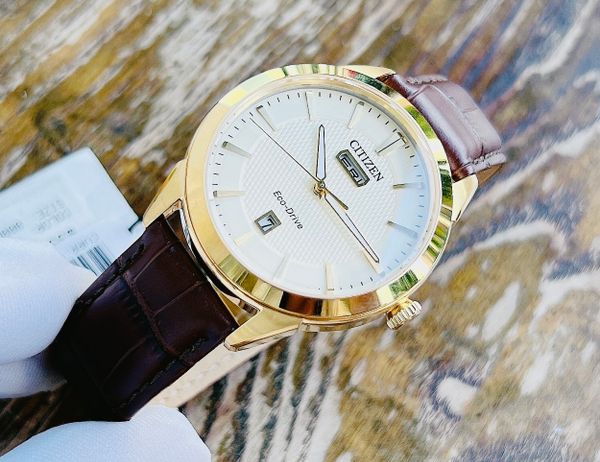  Đồng hồ Nam CITIZEN Eco-Drive Gold AW0092-07Q 