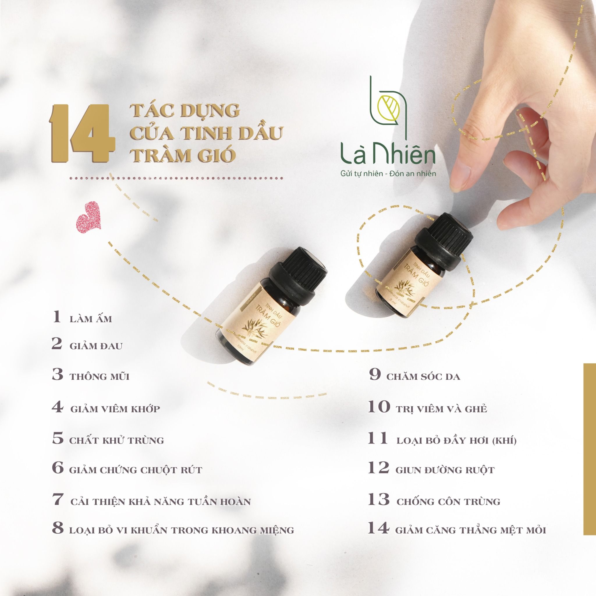 Tinh dầu Tràm Gió