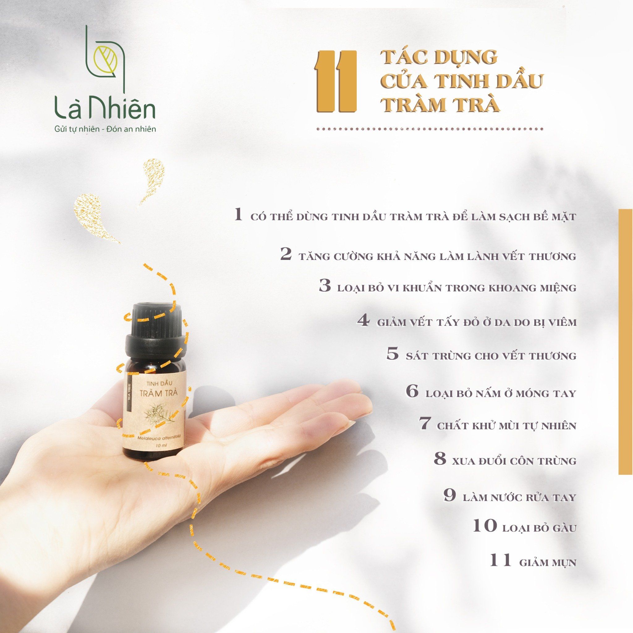 Tinh dầu Tràm Trà