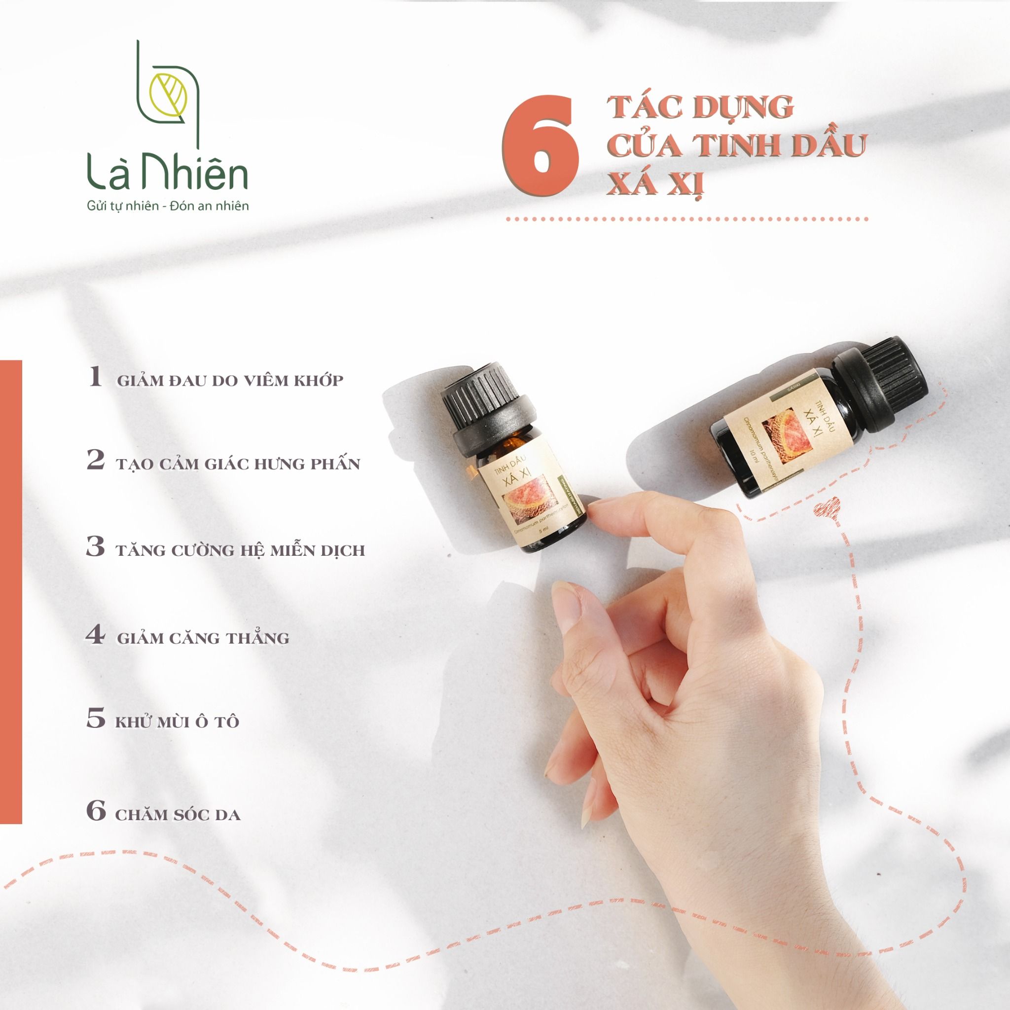 Tinh dầu Xá Xị