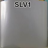  SLV1 