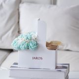 BLOOM & GLOW PACK (Two Sizes) - Teal
