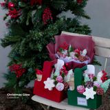 Christmas Glow 2024 Collection