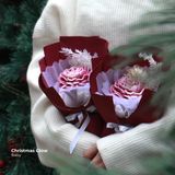 Christmas Glow 2024 Collection