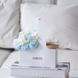 BLOOM & GLOW PACK (Two Sizes) - Aqua