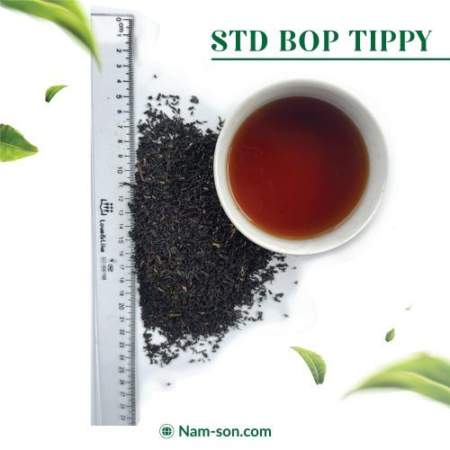  STD BOP TIPPY 