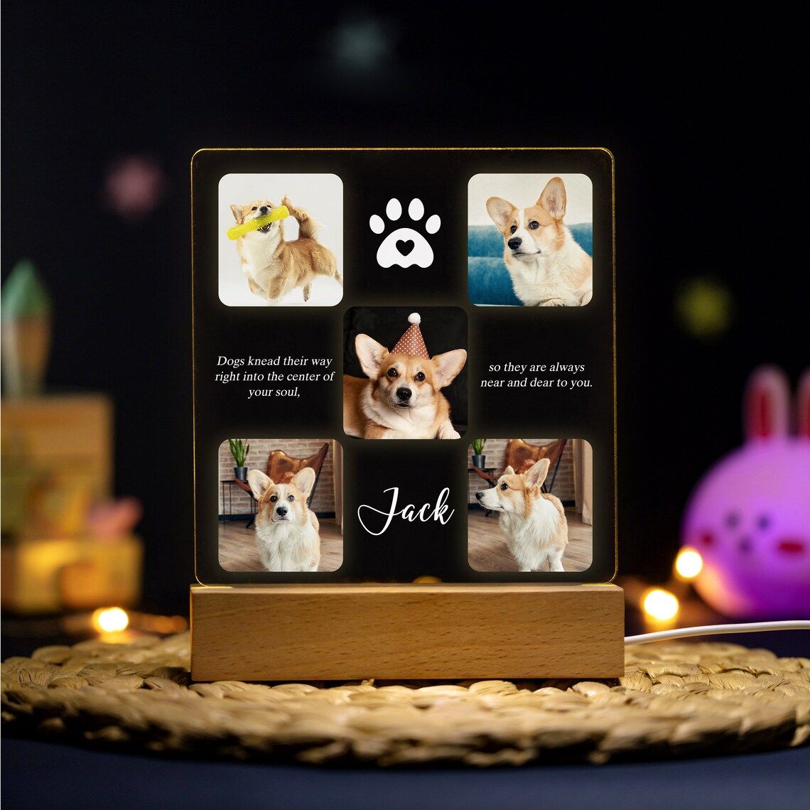 Acrylic night light - UV Color - Pets collection