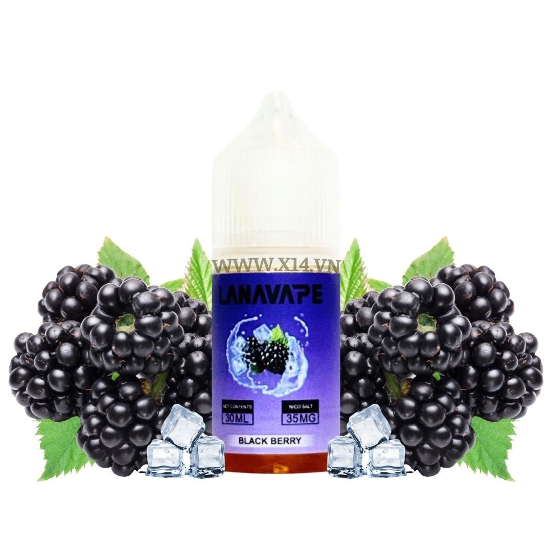 Lana Dâu Đen Lạnh (Black Berry) 30ml Saltnic