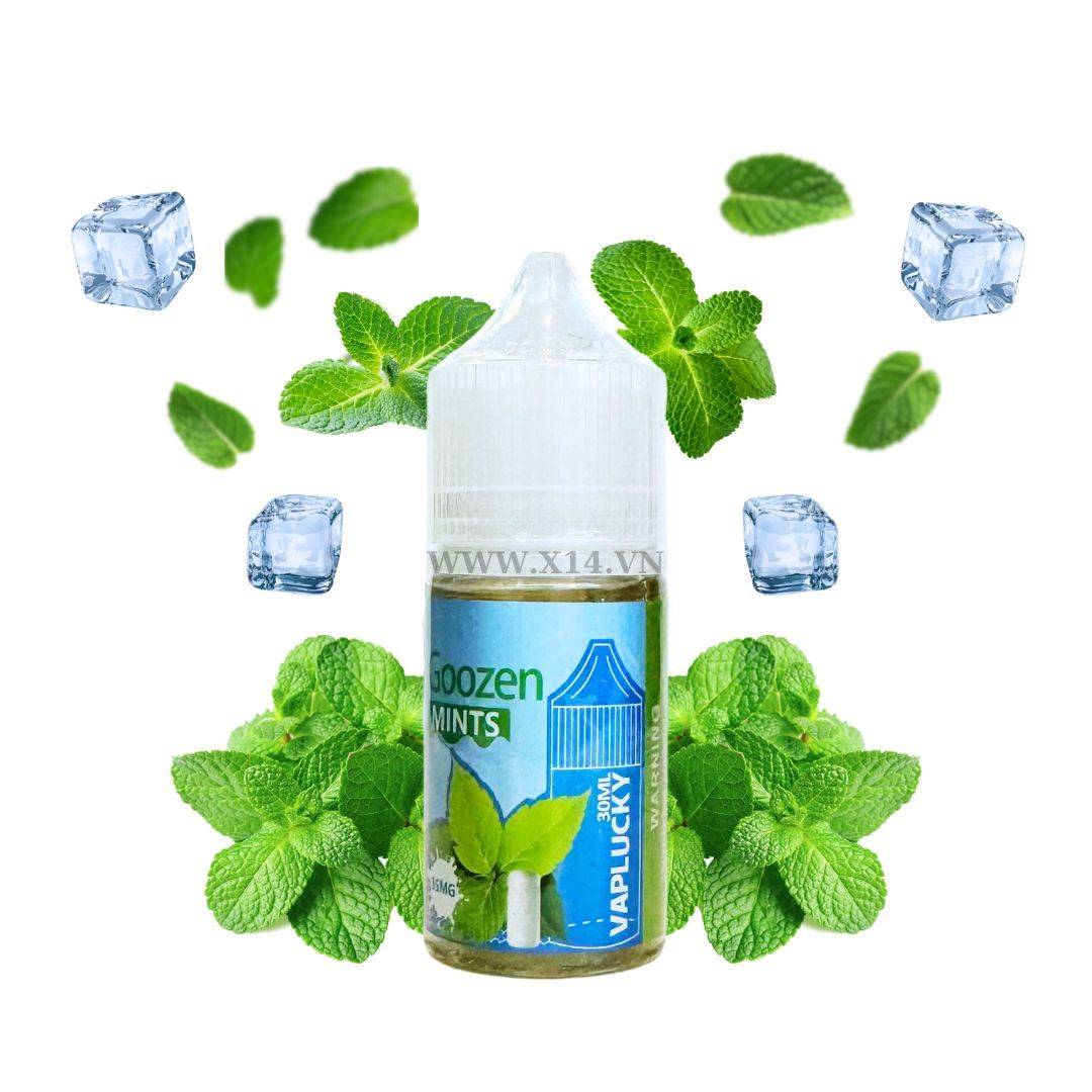 Vaplucky Goozen Bạc Hà (Mints) 30ml Saltnic