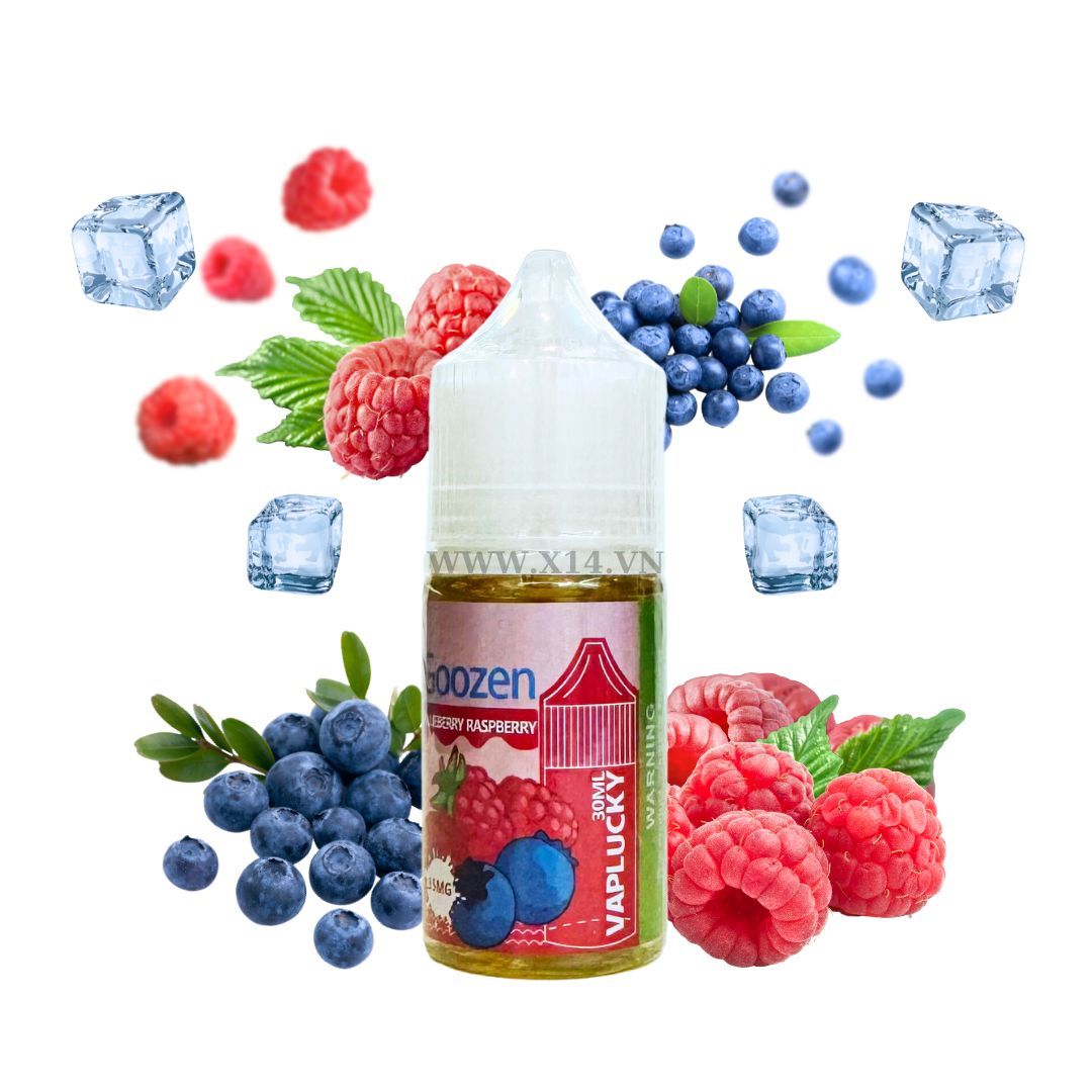Vaplucky Goozen Việt Quất Mâm Xôi (Blueberry Raspberry) 30ml Saltnic