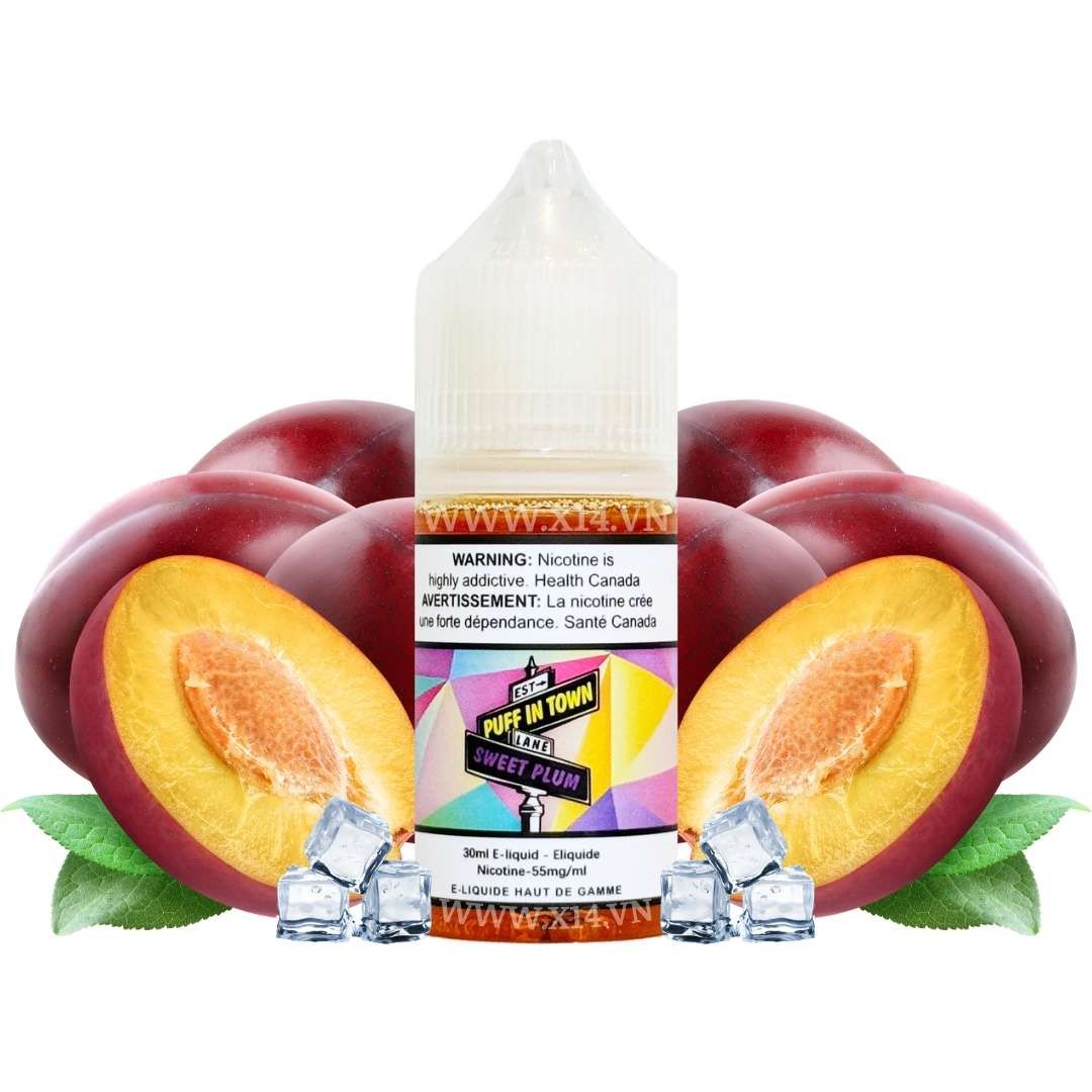 Puff In Town Mận Ngọt (Sweet Plum) 30ml Saltnic