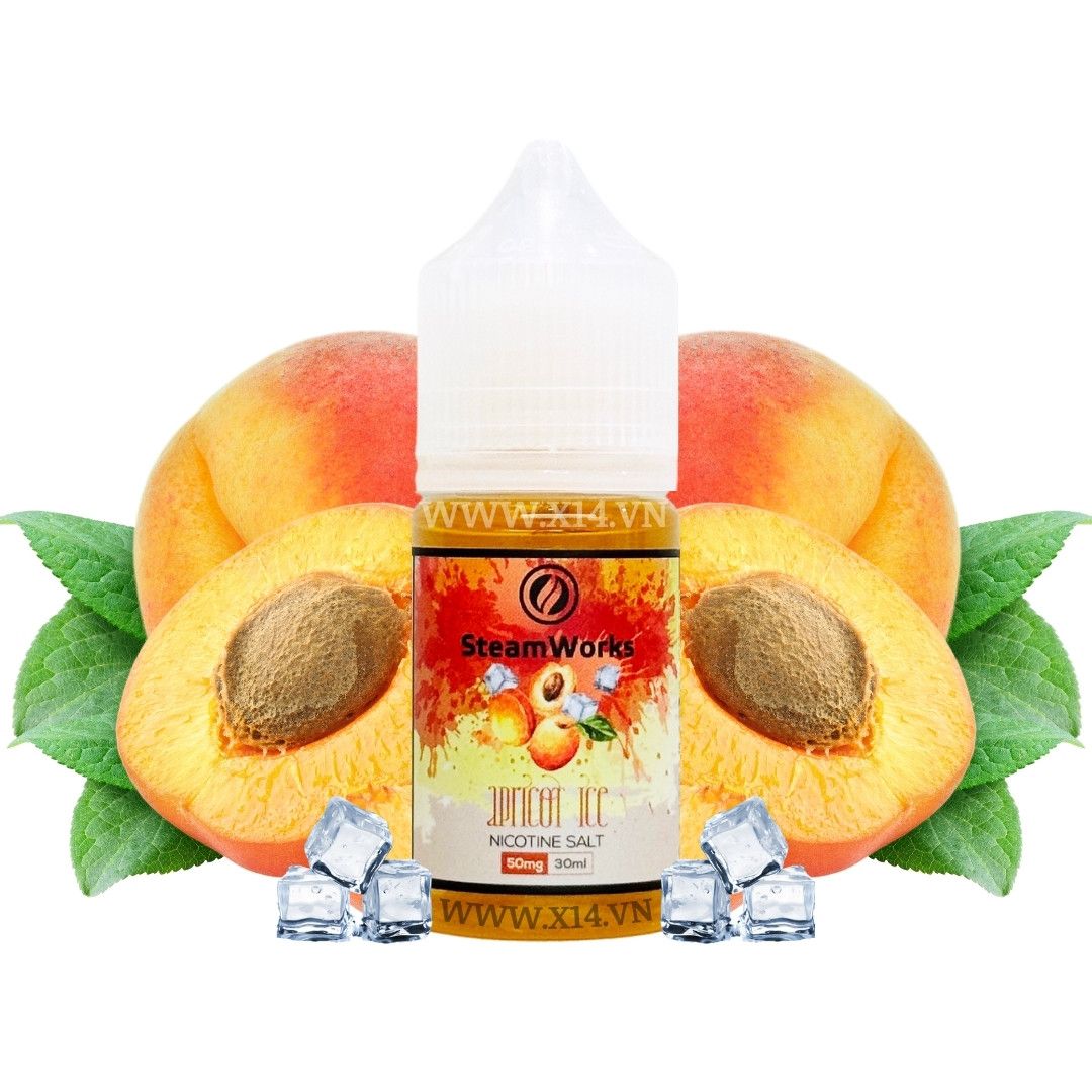 Steam Works Mơ Lạnh (Apricot Ice) 30ml Saltnic