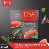  Trà đen Tess Grapefruit Chill vị bưởi và bạc hà 20 gói/hộp 