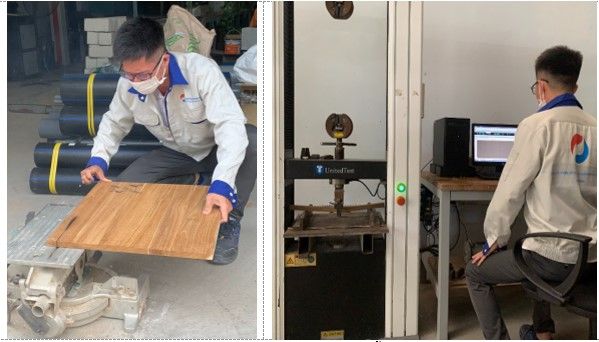 Chứng nhận hợp chuẩn gỗ ghép thanh bằng keo theo TCVN 8575:2010