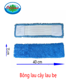  Bông lau cây lau bẹ 