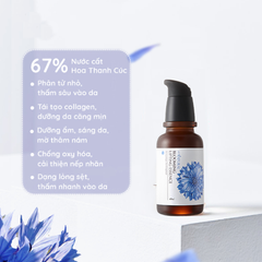 Tinh Chất Hoa Thanh Cúc Ngăn Ngừa Lão Hóa, Dưỡng Căng Da All Natural Blooming Lifting Essence 40ml