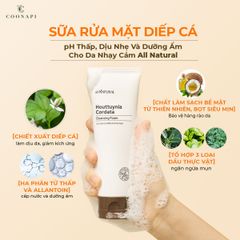 Sữa Rửa Mặt Diếp Cá pH Thấp, Dịu Nhẹ Và Dưỡng Ẩm All Natural Houttuynia Cordata Cleansing Foam 120ml