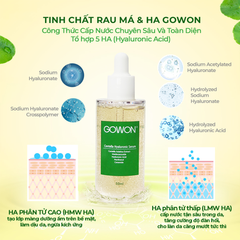 Serum rau má & Ha cấp nước, giảm mụn, chăm sóc da tổn thương Centella Hyaluronic Serum 50ml