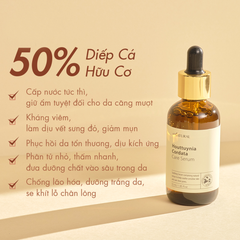 Serum Diếp Cá Chăm Sóc Da Mụn Nhạy Cảm, Dưỡng Sáng Da, Se Khít Lỗ Chân Lông All Natural Houttuynia Cordata Care Serum 55ml