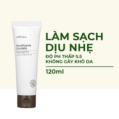 Sữa Rửa Mặt Diếp Cá pH Thấp, Dịu Nhẹ Và Dưỡng Ẩm All Natural Houttuynia Cordata Cleansing Foam 120ml