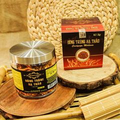 Nấm Đông Trùng Hạ Thảo Khô 30g