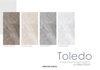 TOLEDO WHITE KT60x120