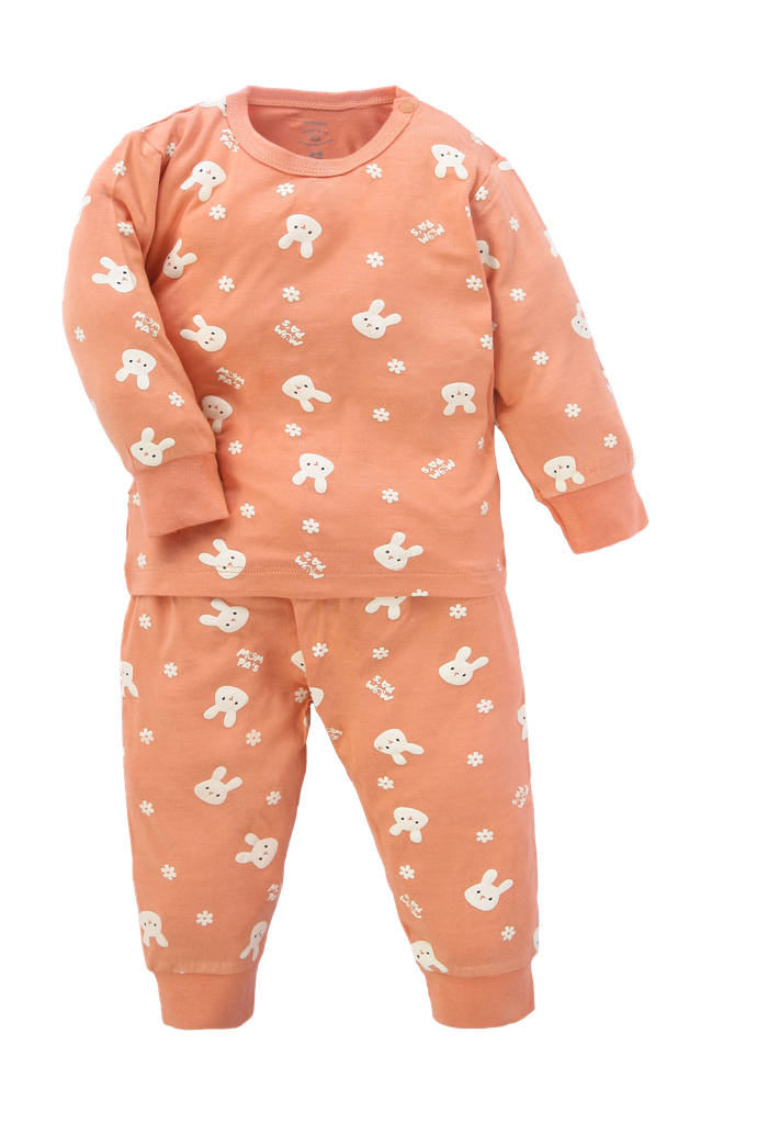 Bộ dài tay bé gái – ảnh 1