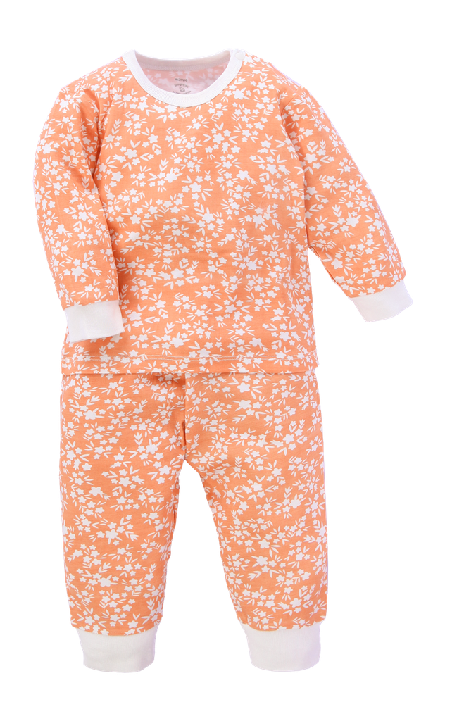 Bộ dài tay bé gái – ảnh 1