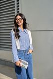 Áo Sơ Mi Kẻ LIZARD Cotton Dài Tay Cho Nữ 2SP23S053