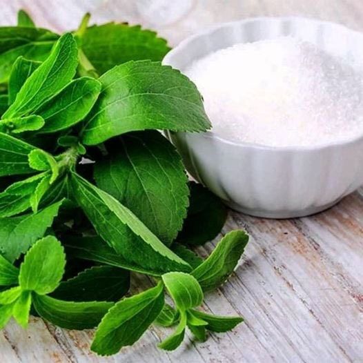 Đường cỏ ngọt Sweet Life - Đường ăn kiêng